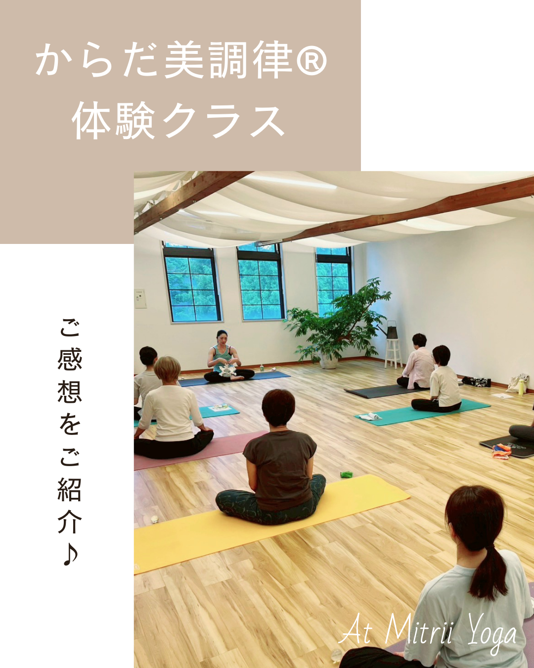 お客様ご感想紹介♪からだ美調律体験クラス
