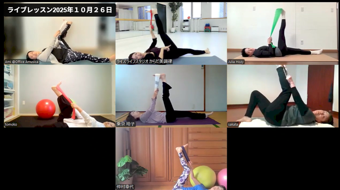 ブラッシュアップレッスン＆ミーティングも定期開催！